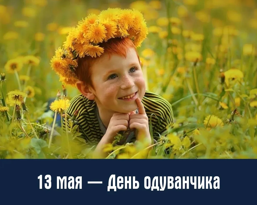 🌼 Одуванчик - маленькое солнышко, подаренное нам на радость. Весной этот симпатичный ц...