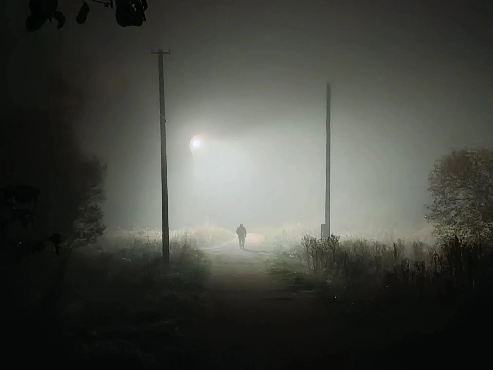 😶‍🌫 Туман этой ночью в Псковской области