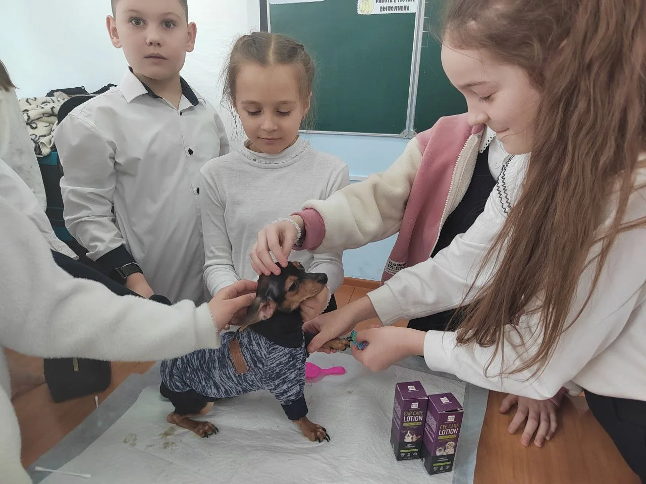 🐾 Урок доброты: 2А и 3Б говорят «НЕТ» равнодушию! 🐾