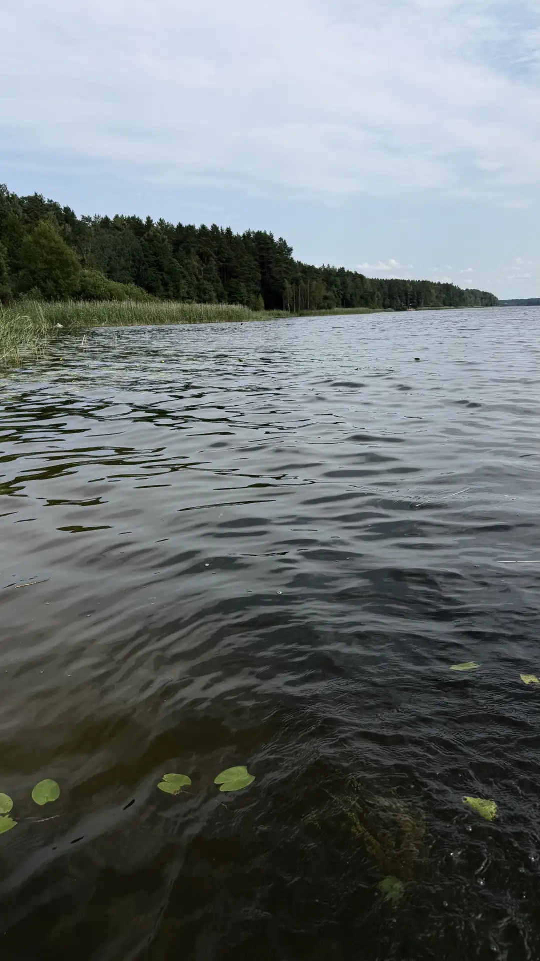 Устала от отдыха, что хочется обратно в дела окунуться.
