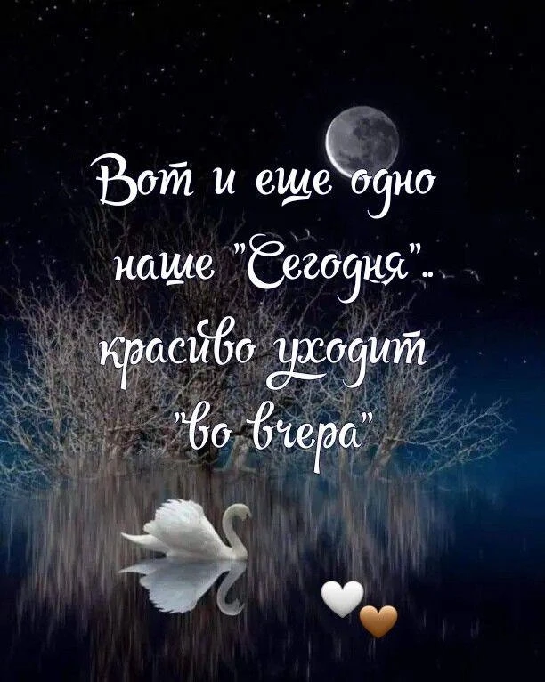 🌷 Открытки подписаться 👈