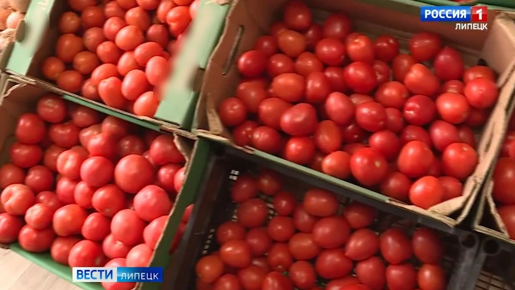 Незаконная торговля: три автолавки убрали с улиц Липецка