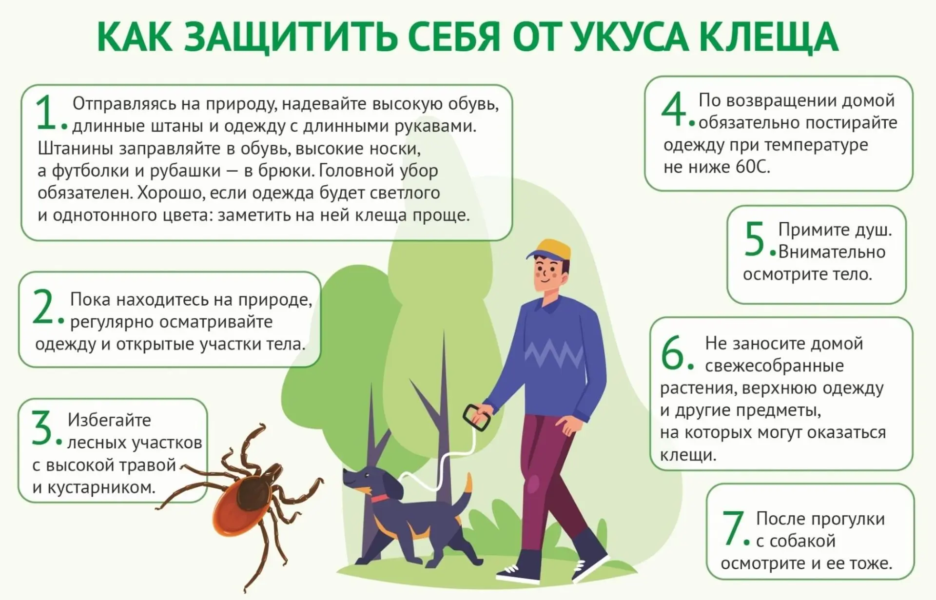 ❗️Клещевой вирусный энцефалит – это серьезное заболевание, которое может привести к пор...