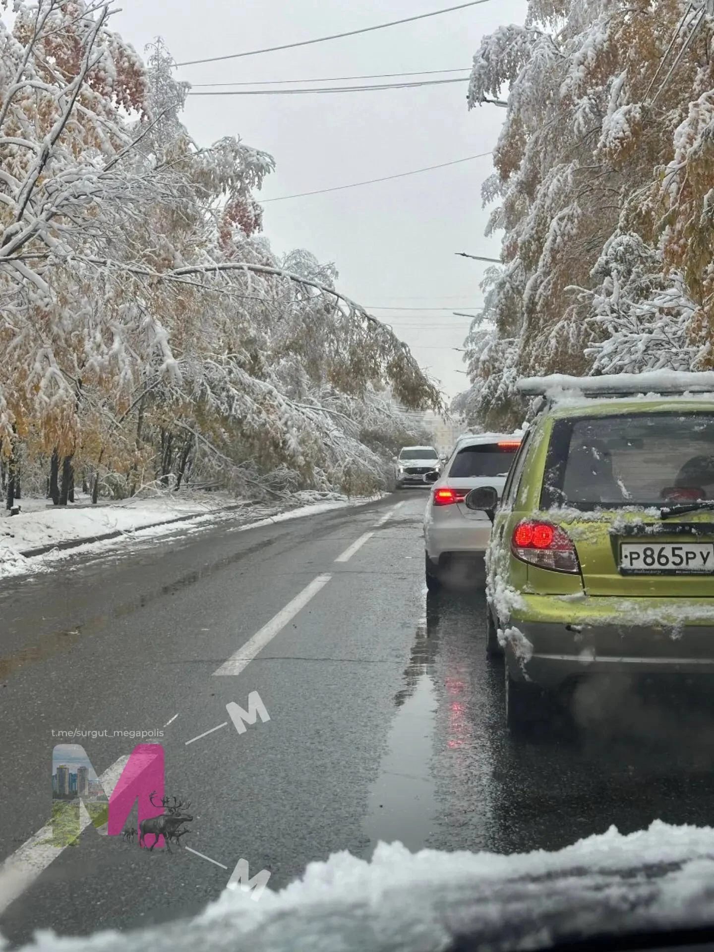 Последствия непогоды в Сургуте🌨️