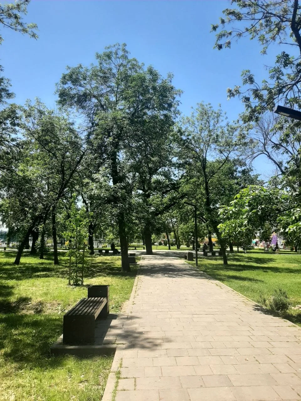 ☀️В начале недели погода порадует нас теплом и солнцем. 

Утро понедельника встретило нас ясным небо