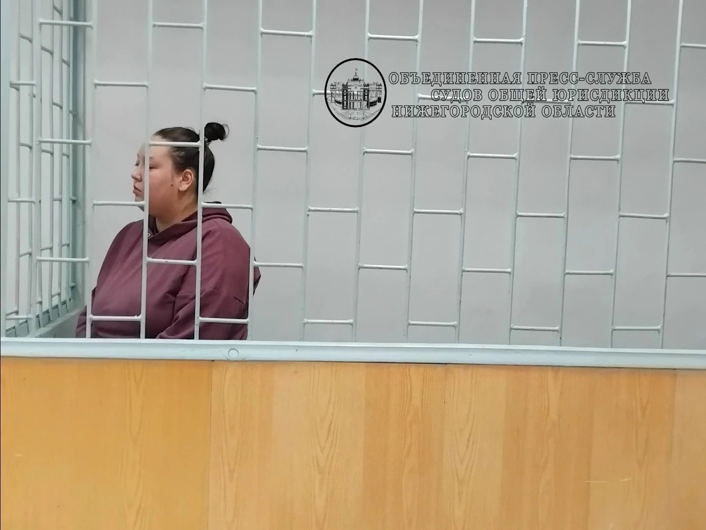 Саровский суд избрал меру пресечения в виде заключения под стражу обвиняемой в убийстве