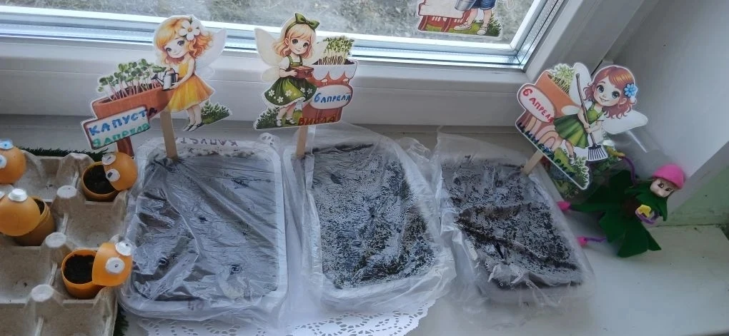 📢 🧚‍♂️✨ СЕНСАЦИЯ! В группе «Чебурашке» поселились волшебные эльфы!