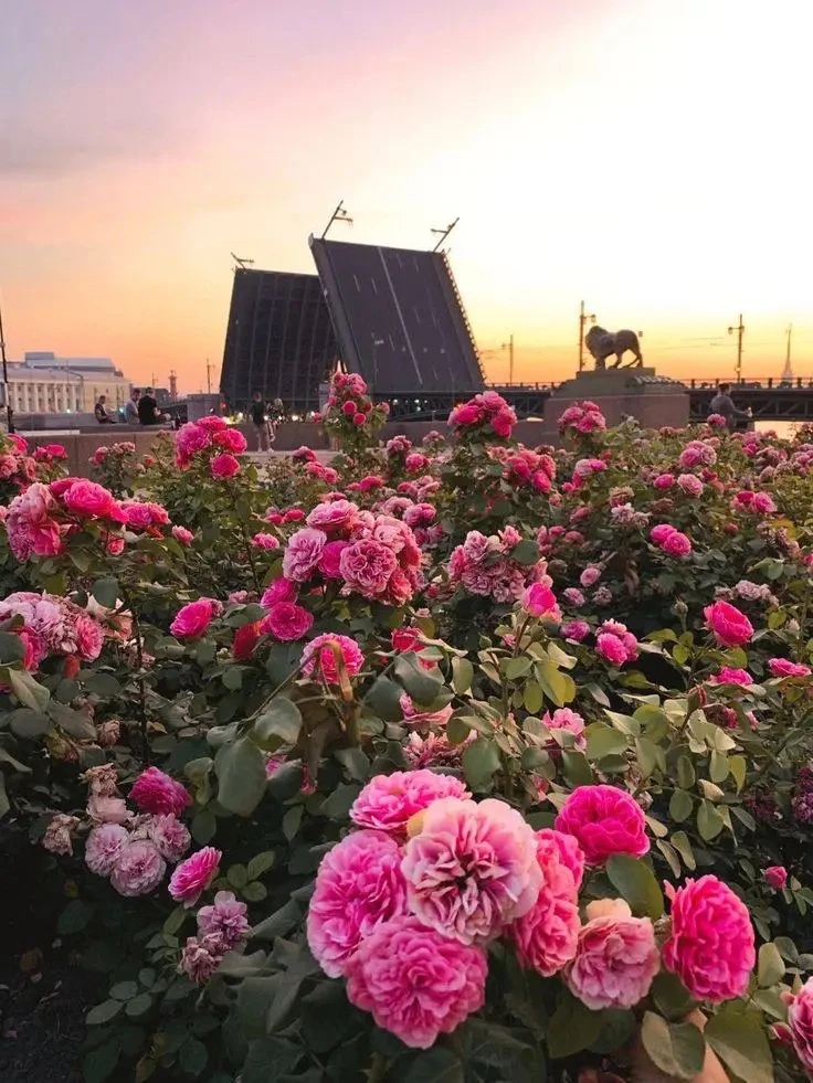 📸 Экскурсионные ЖД-туры в Санкт-Петербург 🚂😍

📍из Ростова-на-Дону

⭐насыщенная экскурсионная про