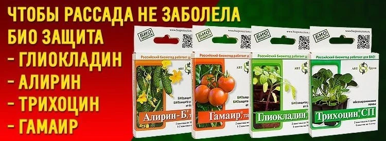 ✅ В нашем ассортименте есть эффективные биопрепараты: Алирин-Б, Гамаир, Глиокладин и Трихоцин! Эти с