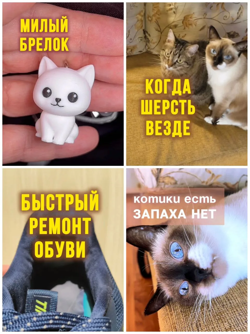 🐈‍⬛🐈🐾Котикова подборка! И один практичный совет По ссылкам можно перейти на клип с р...