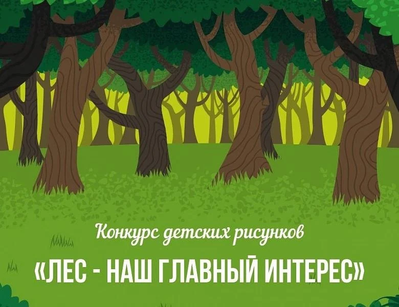 🌲 Поздравляем призеров конкурса «Лес – наш главный интерес»! 🌲