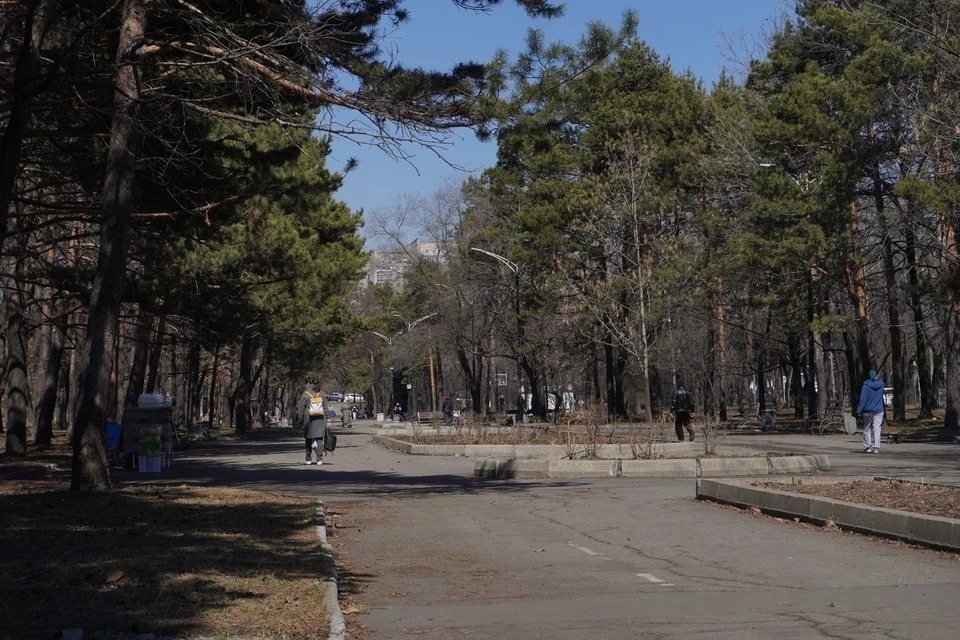 📰 В Хабаровском крае 25 августа пройдут кратковременные дожди