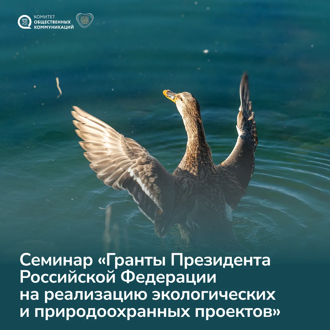 Президентский фонд природы знаете? А мы его в гости пригласили!🍀