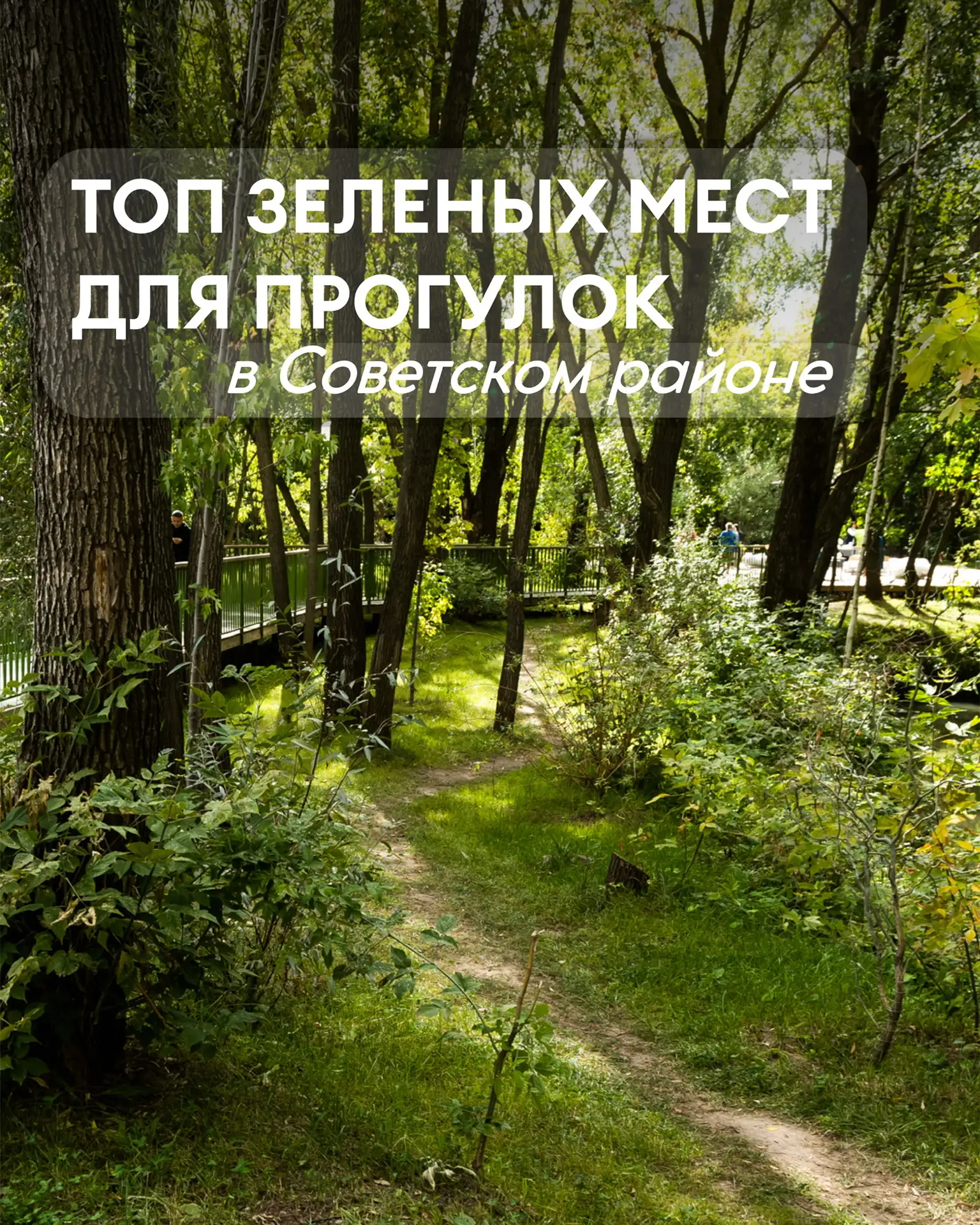 Лето в городе: места для прогулок в Советском районе 🍃