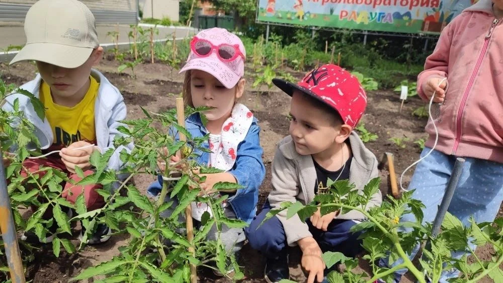 ✨ В Ибресинском детском саду «Радуга» продолжается реализация проекта по ранней профори...
