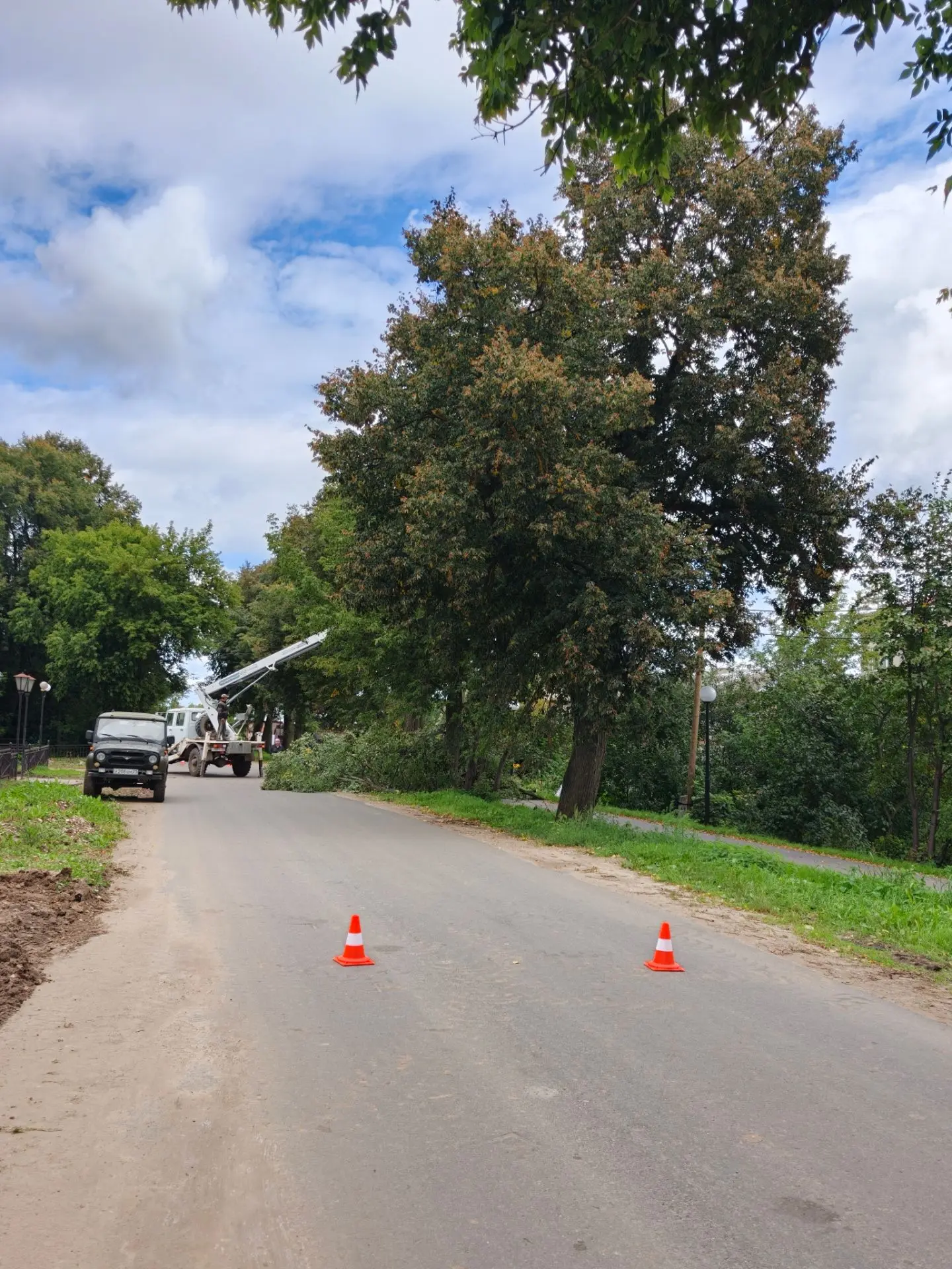 🌳 В Ядрине провели плановую санитарную обрезку и удаление аварийных деревьев, которые ...