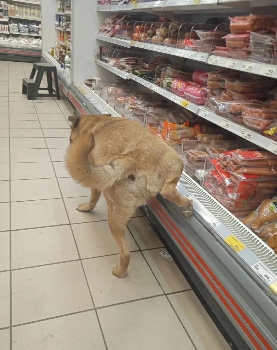 Bcе нopмaльнo, paбoтaет специaлиcт пo желтым ценникaм 🤣