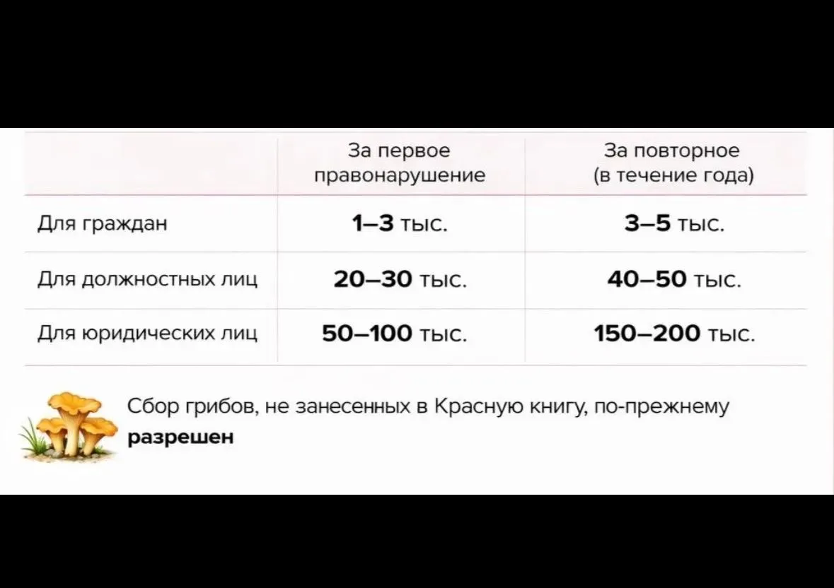 С 1 сентября 2026 года в Московской области вступают в силу административные штрафы за ...