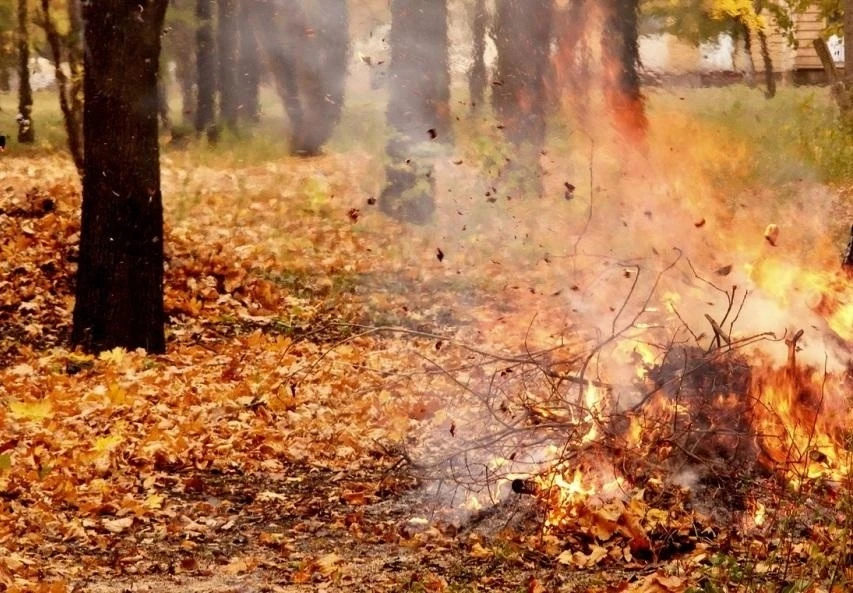 Уважаемые жители и гости Саратовской области!