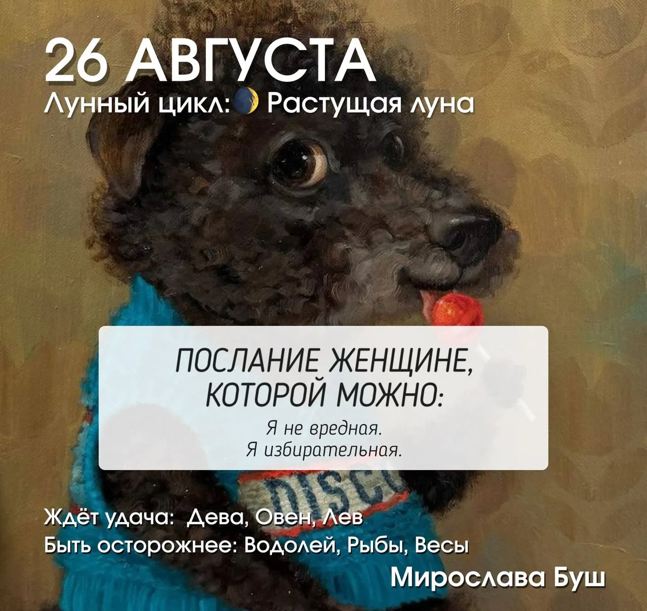 26 августа РЕКОМЕНДАЦИИ 🔥