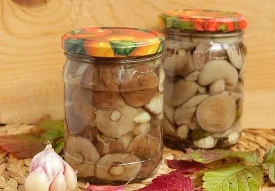 МАРИНОВАННЫЕ МАСЛЯТА