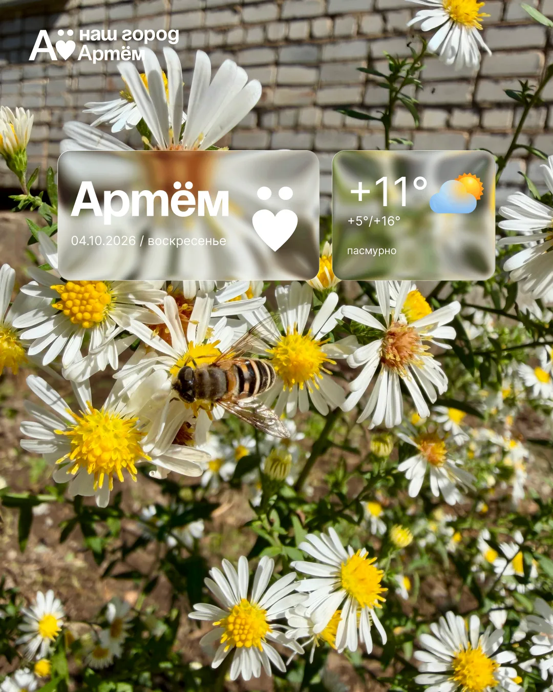 Доброе утро, Артём!