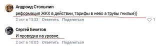 Я что-то не понимаю: почему собаки живут лучше, чем люди?