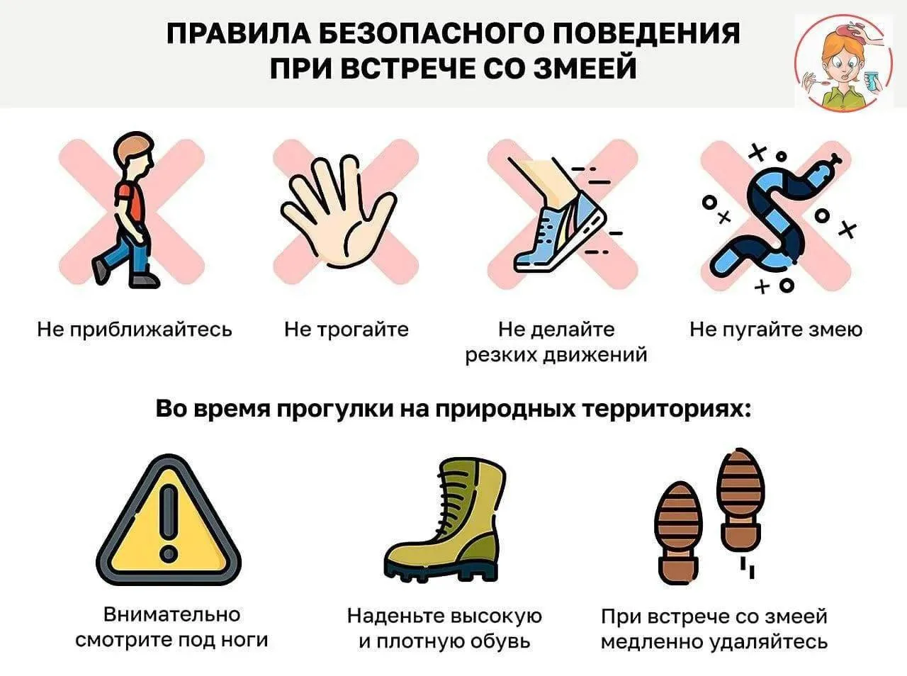 🐍 Поход в лес или на дачу — это прекрасно, но важно помнить о безопасности. 

Если экстренная ситуа
