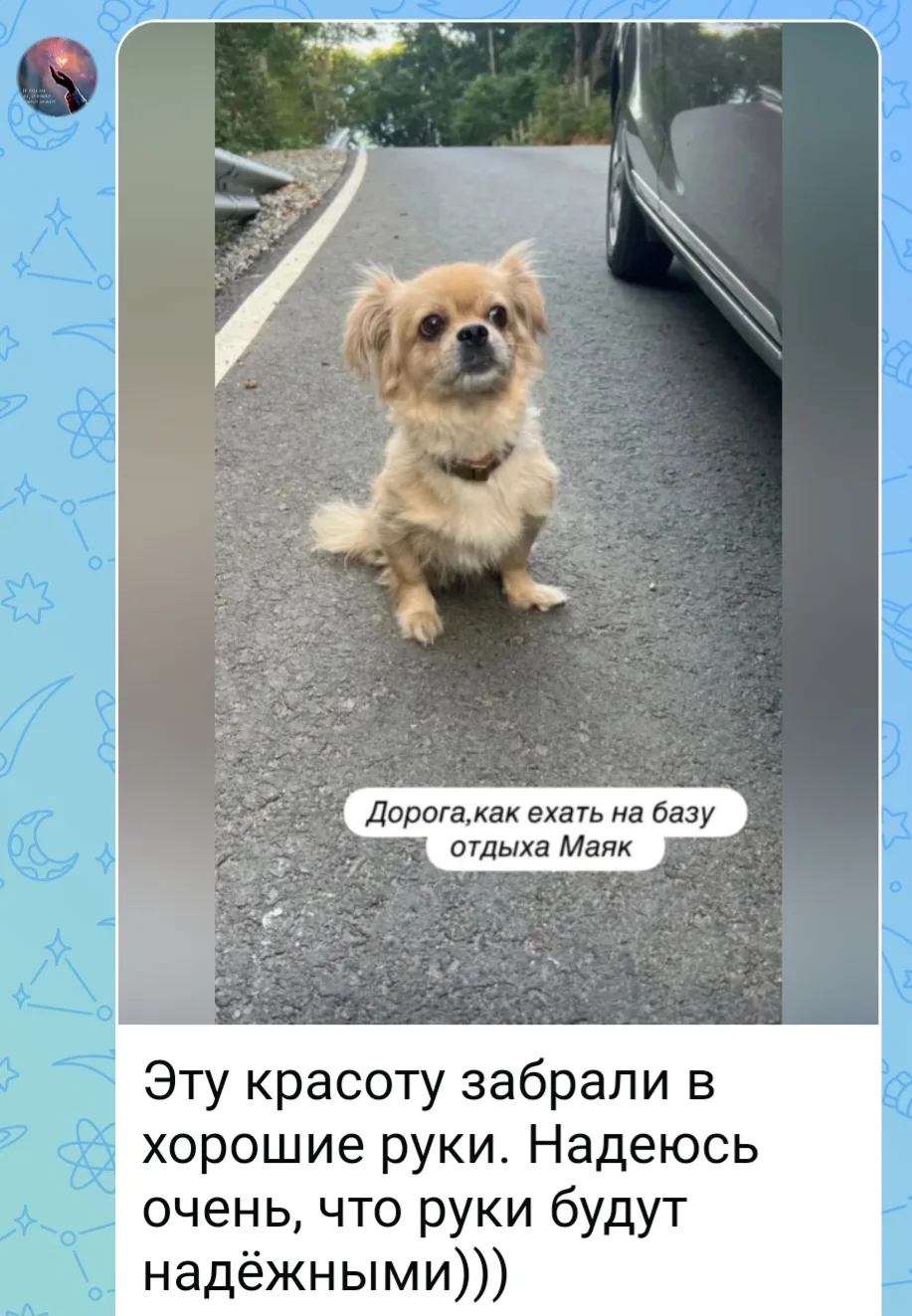 ХОРОШАЯ НОВОСТЬ.
