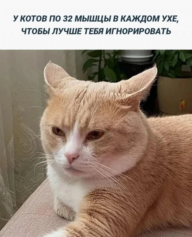 Оцените лайком 🥰