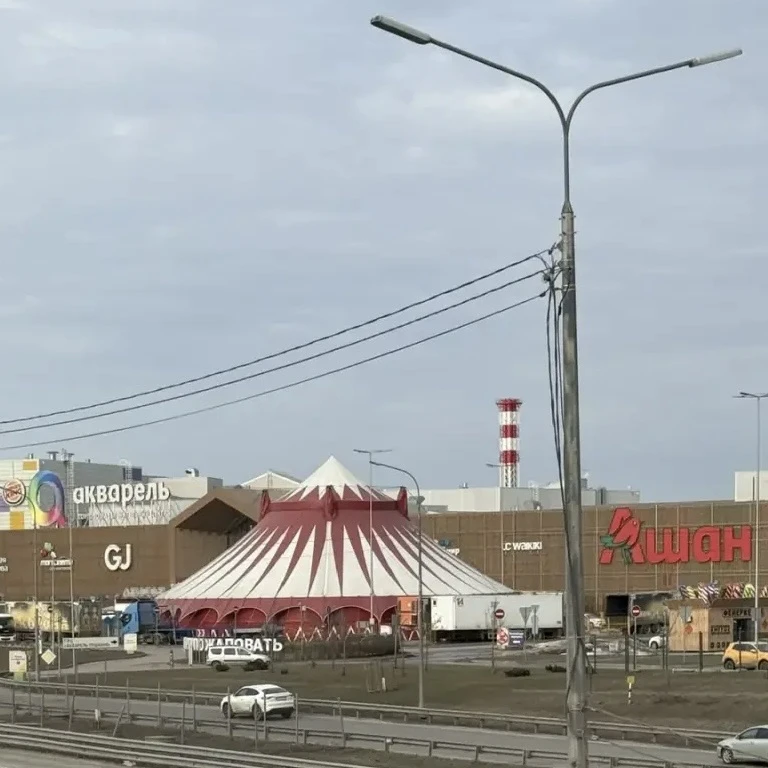 Пушкино и Ивантеевка! Кто не успел посетить представления?