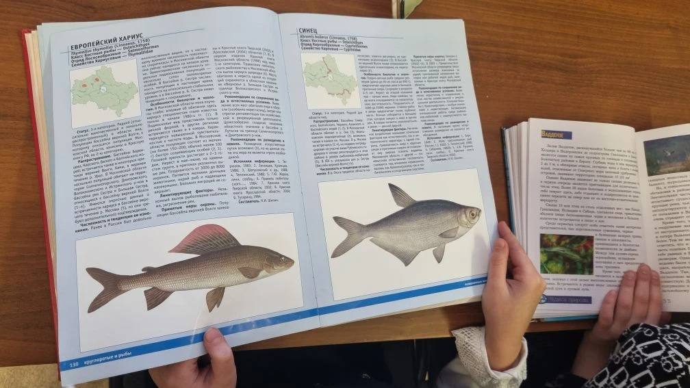 📚 Любят ли читать школьники? Репортаж из школьной библиотеки.      В последнее время принято сетоват