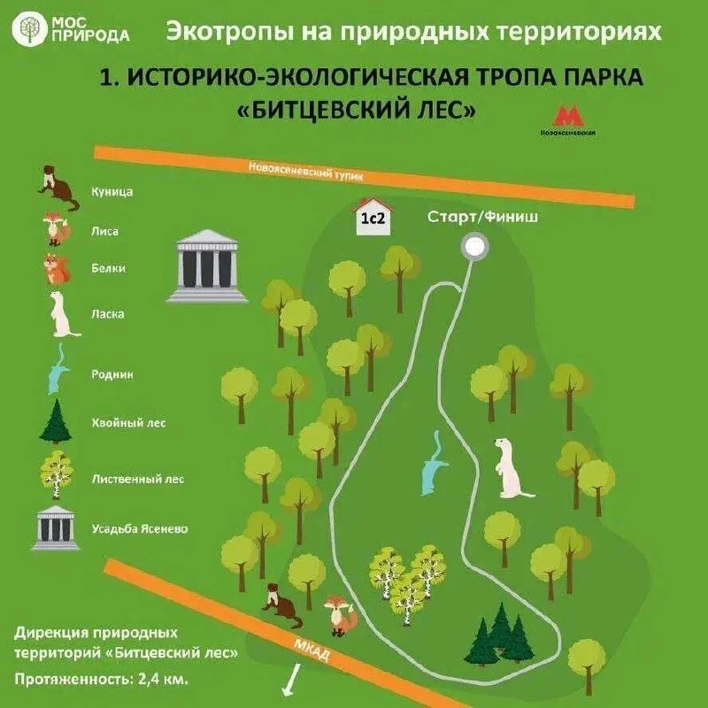 Семь экомаршрутов для осенних прогулок