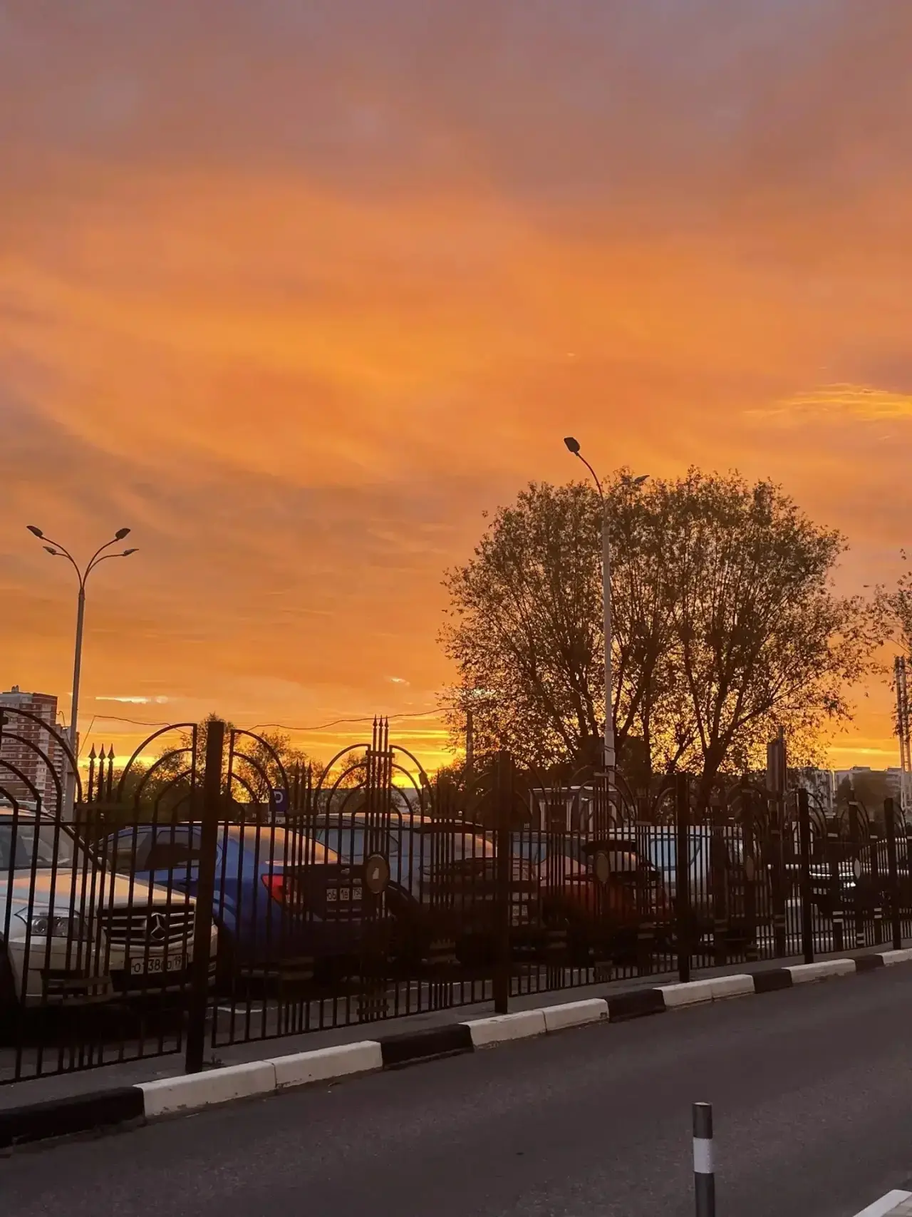 🌅 Пушкино сегодня провожает день невероятно красивым закатом