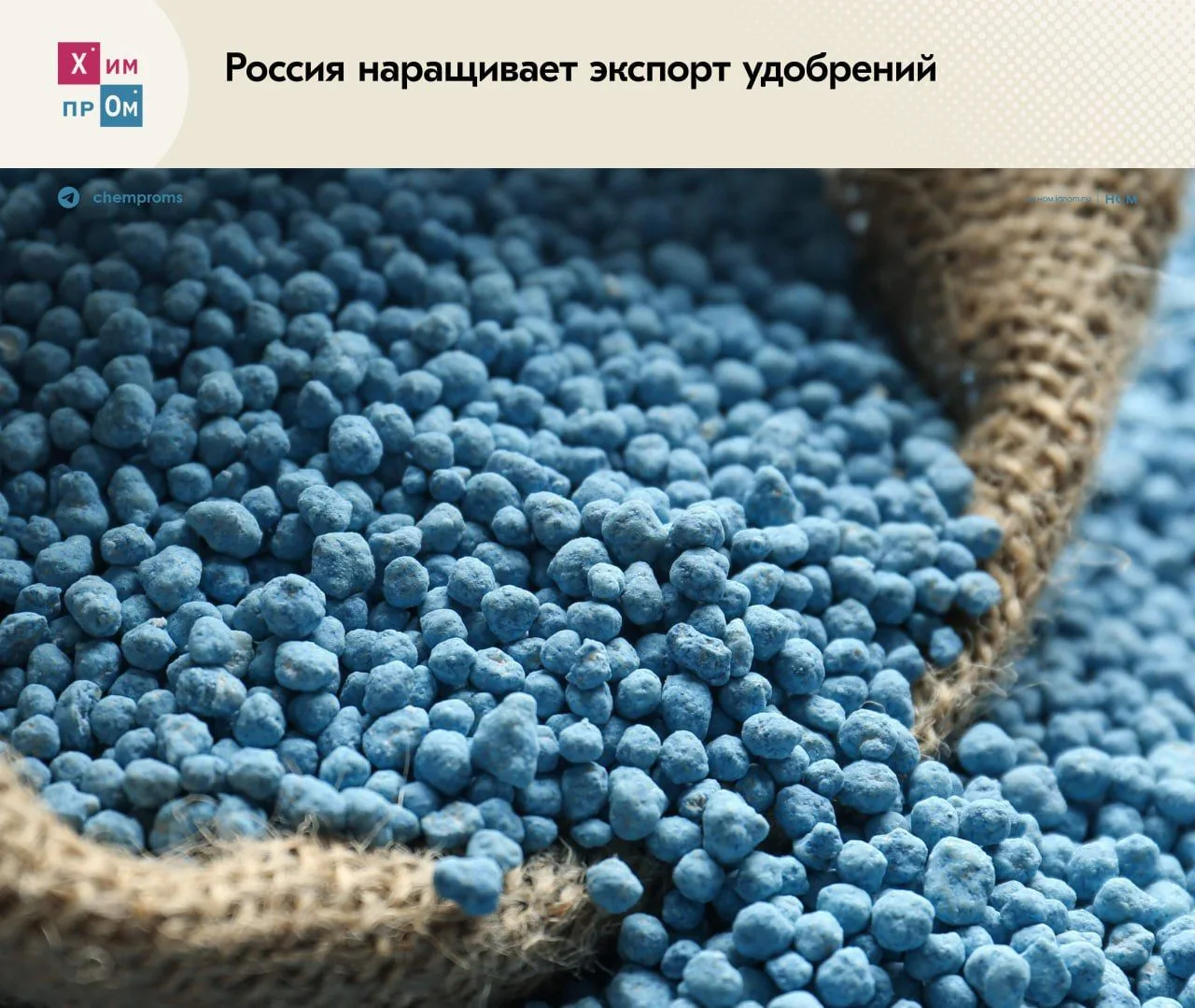 ▪️ Санкции не помешали российским удобрениям. Пока одни страны пытаются бойкотировать т...