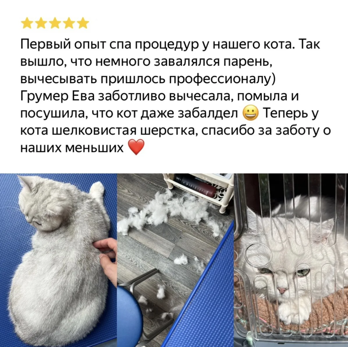 Благодарим за теплые слова ❤️