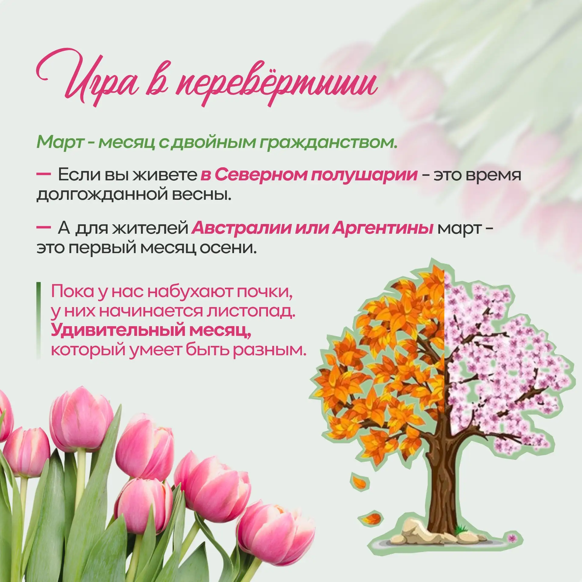 Ура, весна пришла! 🌸🌱  Март — это не просто первый весенний месяц в календаре. Это время, когда прир