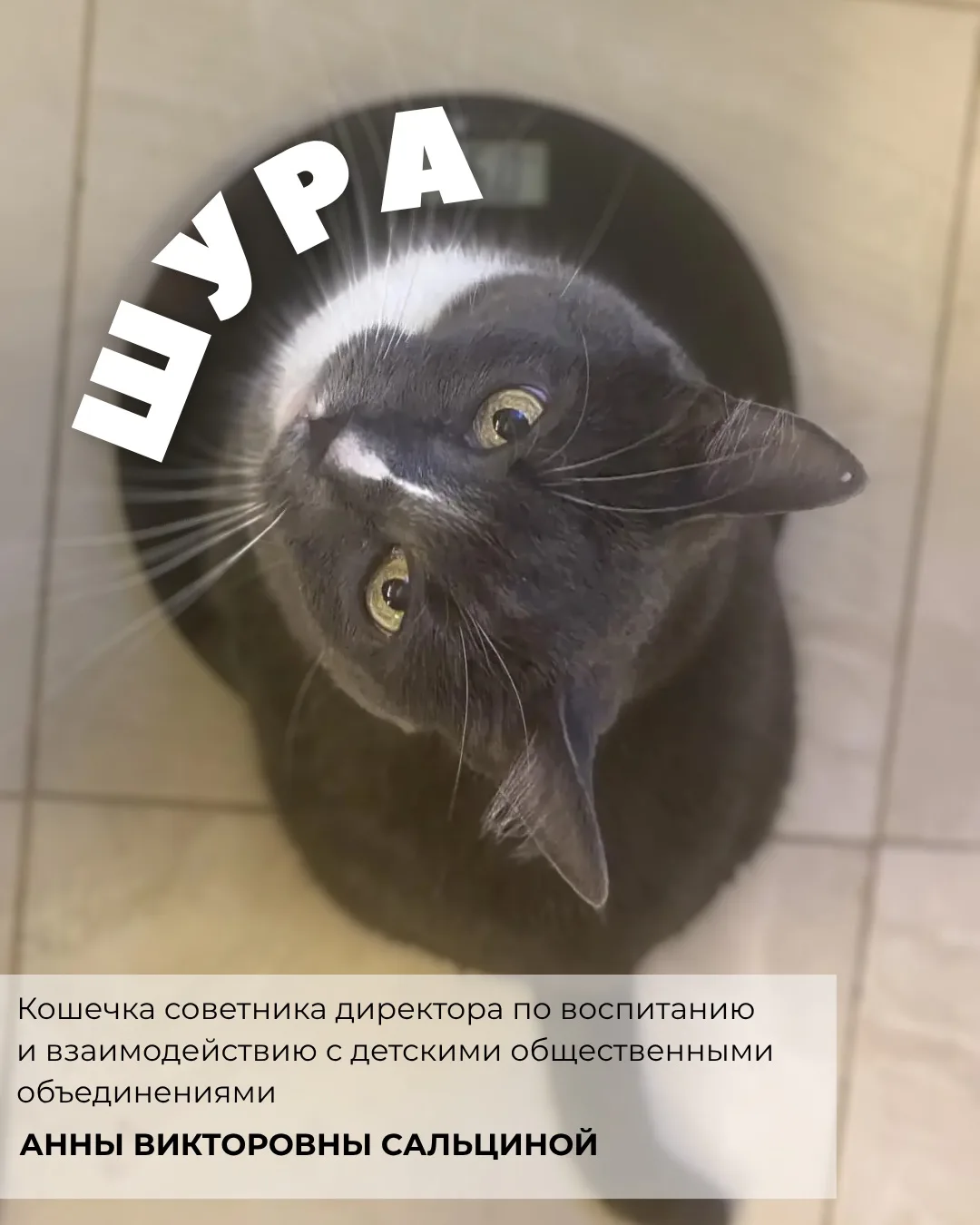 Минутка милоты 🐾

Сегодня — Международный день котёнка! Дата посвящена самым милым созданиям, котор