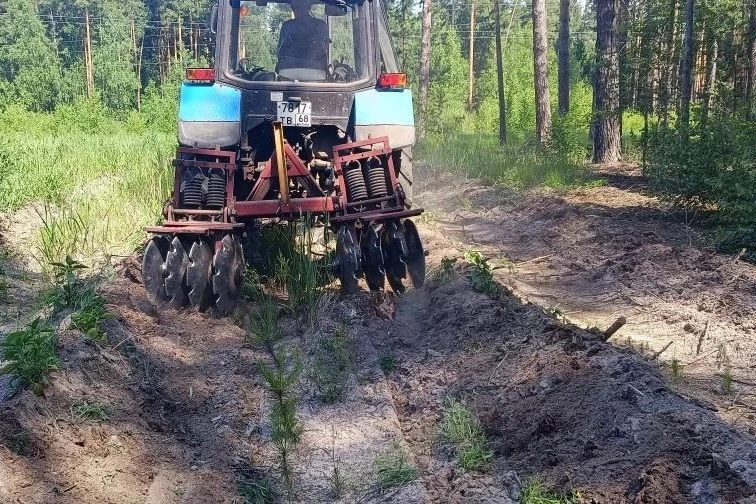Челнавский лесхоз улучшает состав молодняков

🌲Специалистами ТОГАУ «Челнавский лесхоз» успешно реал