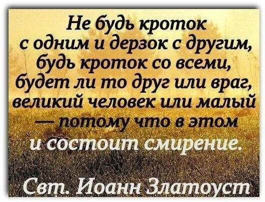 ⚜💛⚜💛⚜💛⚜💛⚜
