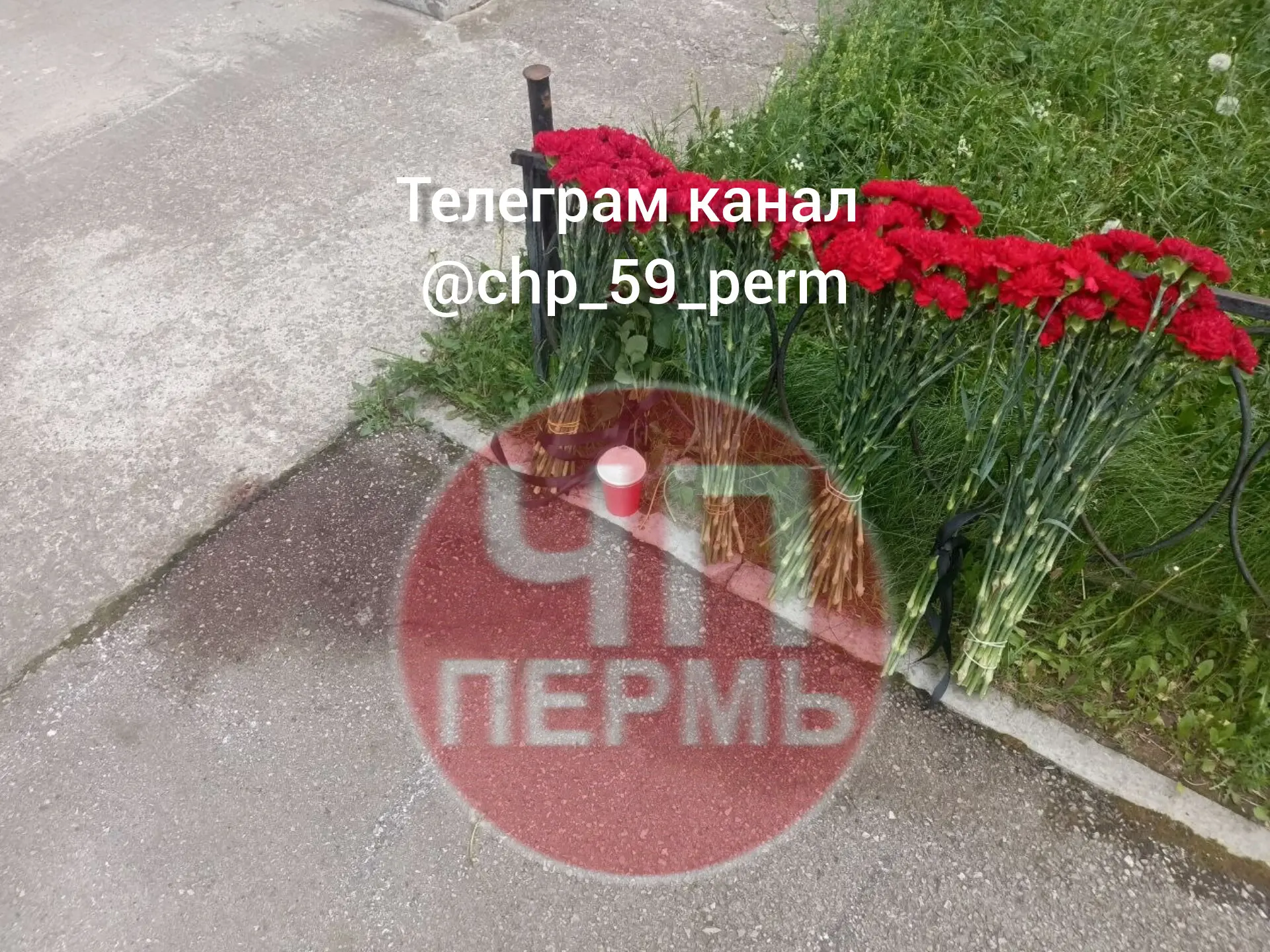 Изображение 1 к публикации «ЧП Пермь»