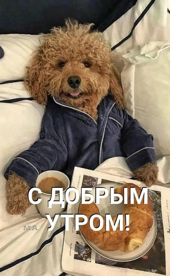 Доброе утро ☀️🥰