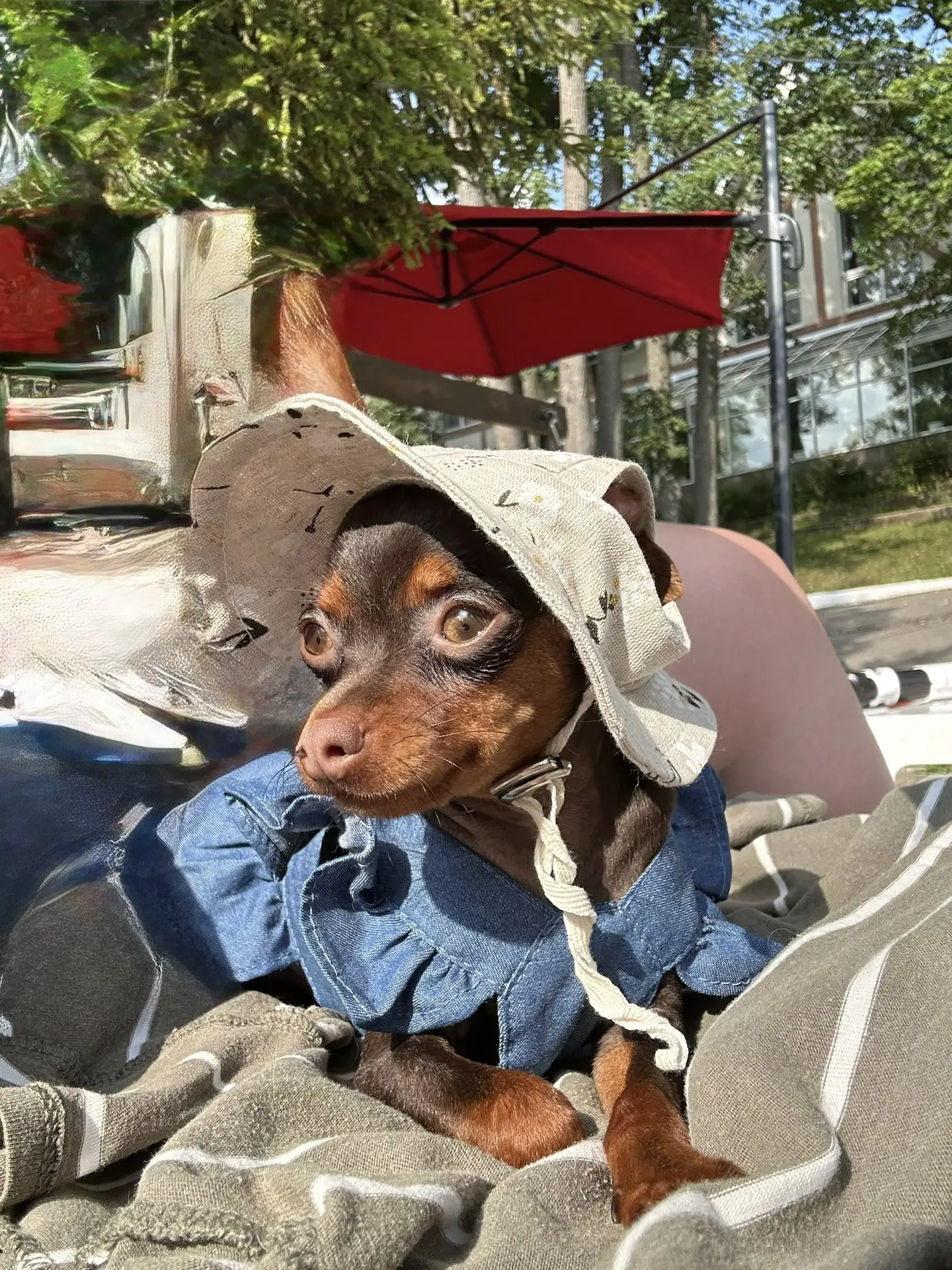 🐾☀️☺️
Мне бы лето засунуть в кармашки и зимой доставать по чуть-чуть...