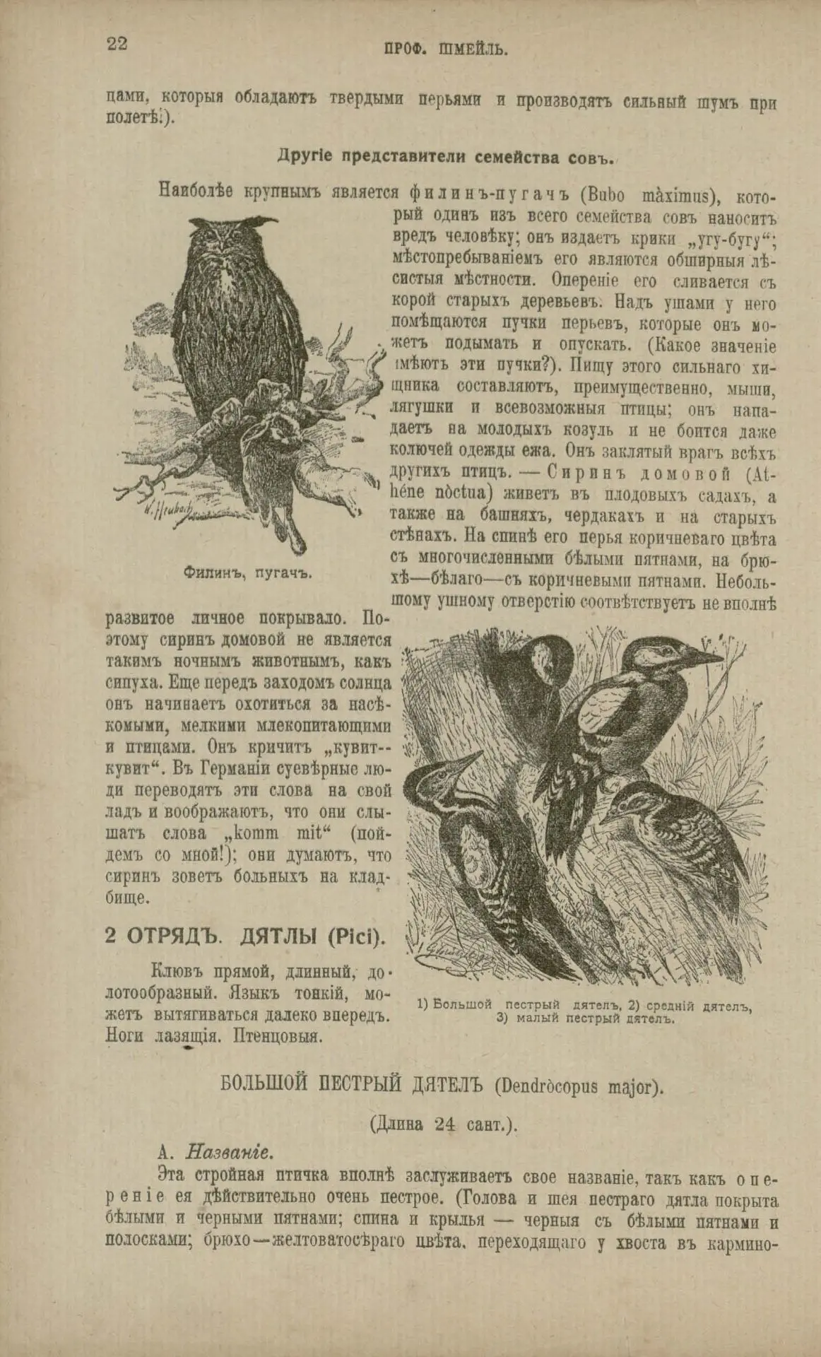 🌿 Почему всё живое стремится к развитию и какие скрытые механизмы управляют повадками ...