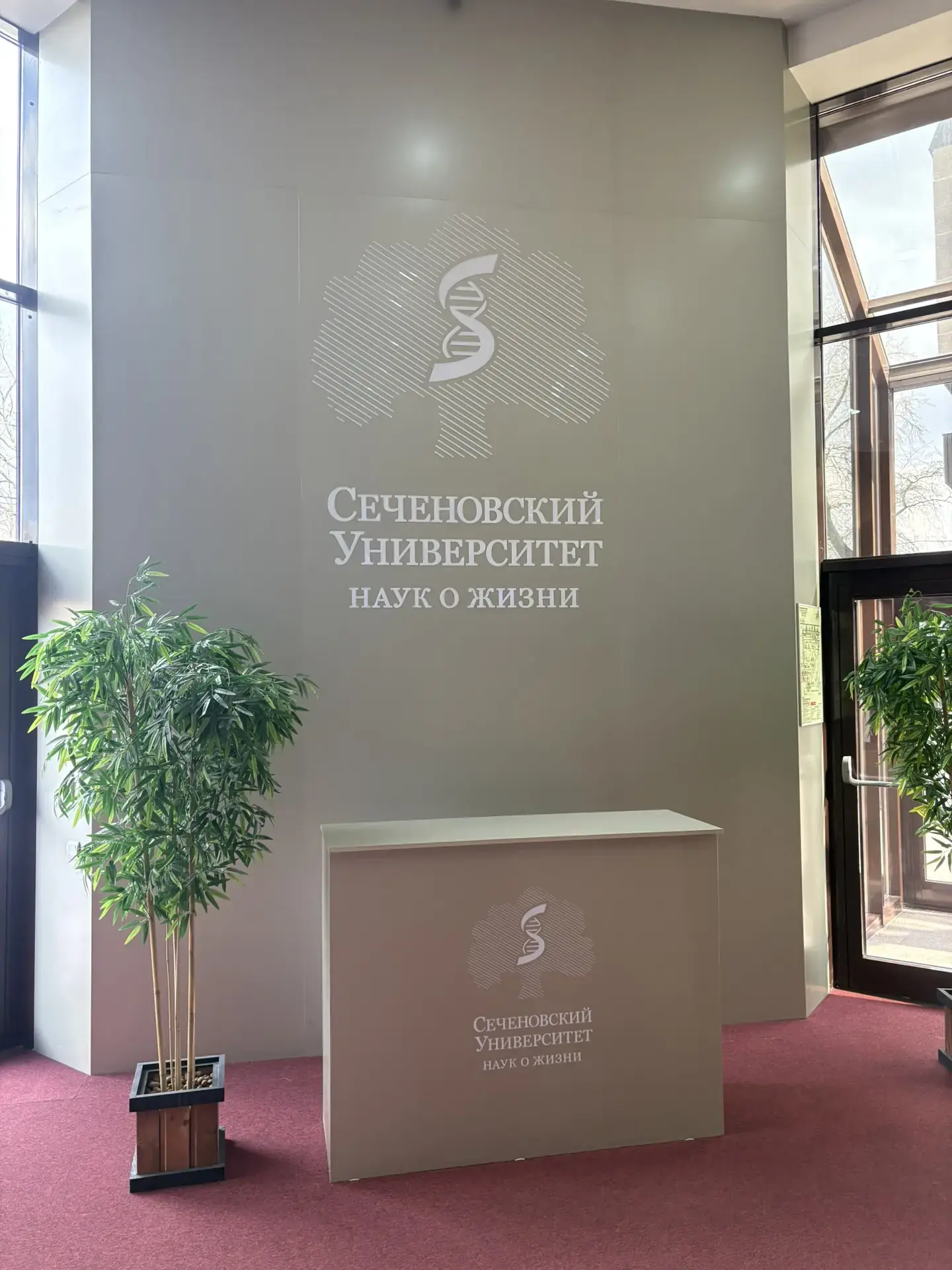 МНОГООБРАЗИЕ НАУКИ ✨  Ученицы 8 «В» класса естественно-научной вертикали выступили на открытой город