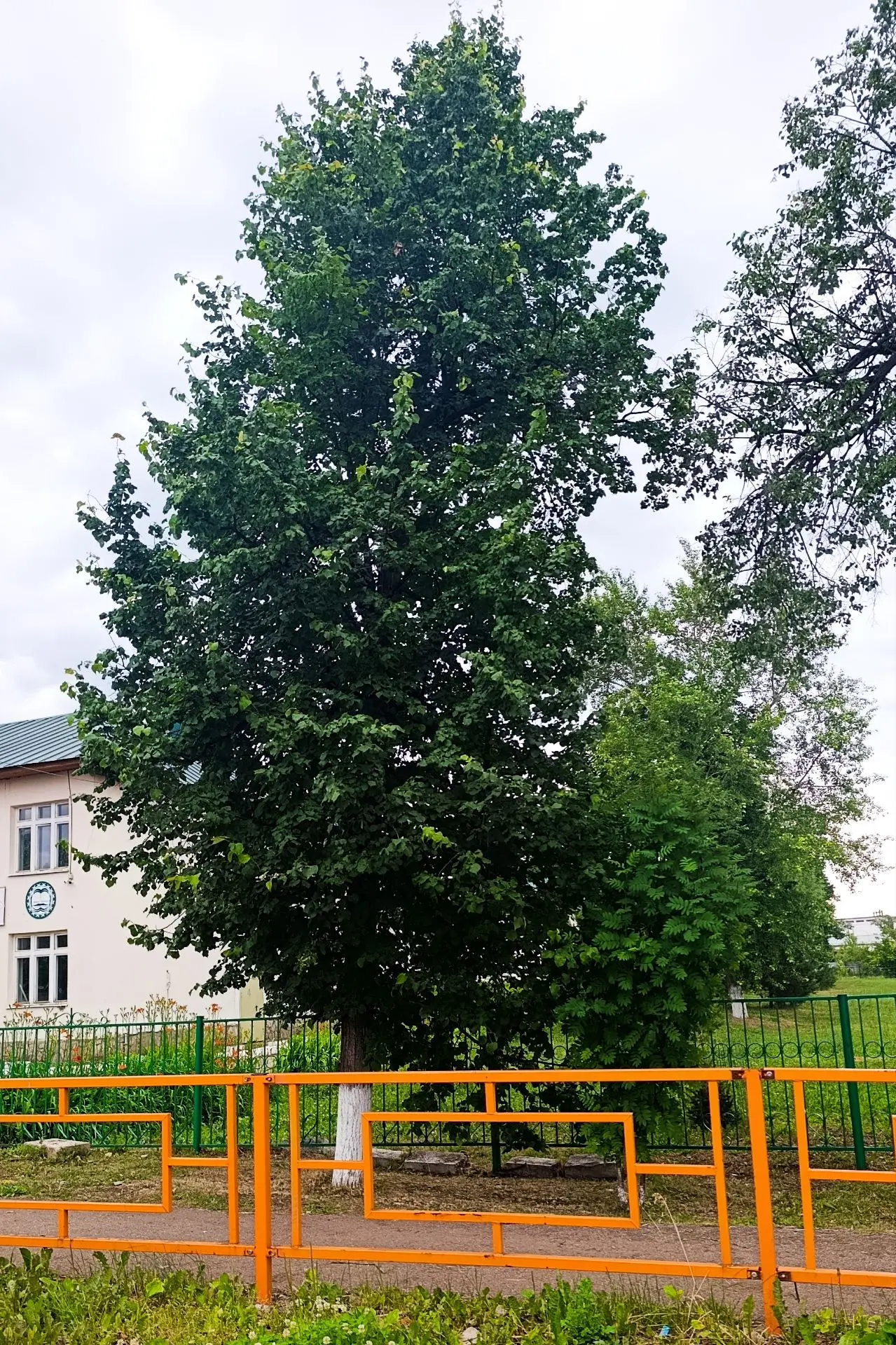 🌦️Прогноз погоды на 20 июня

По данным Башгидромета, сегодня на территории республики ожидается пер