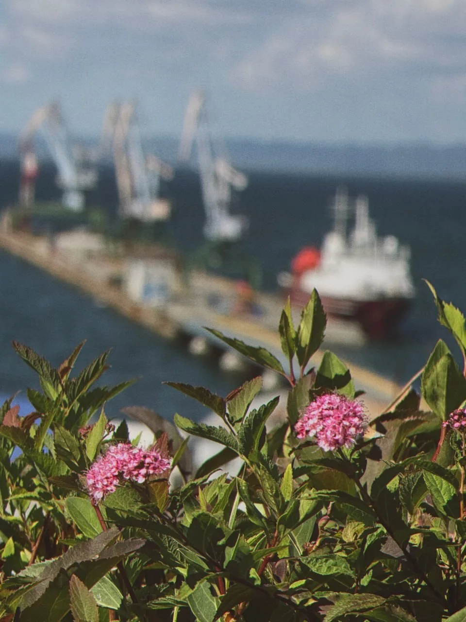🏗🌸Корсаковский порт