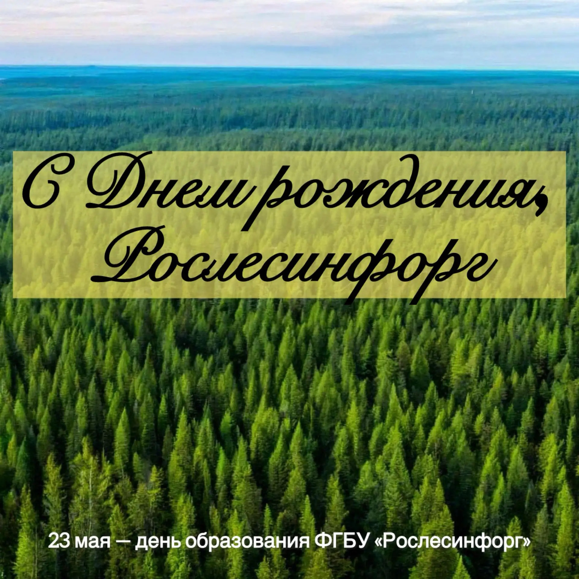Уважаемые коллеги!  🌳 Коллектив Минэкологии Якутии от всей души поздравляет вас с Днем образования «