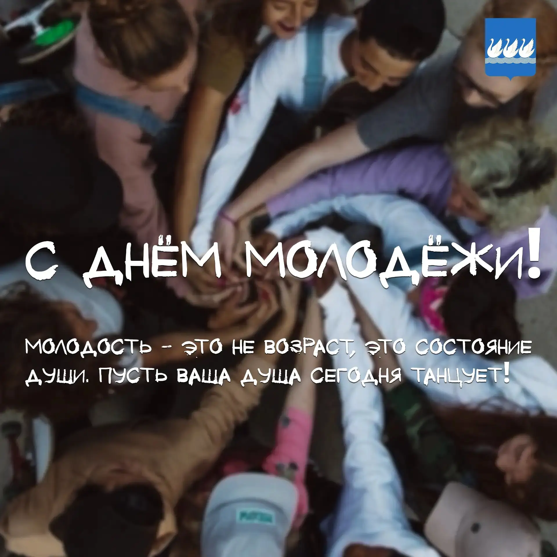 Дорогие друзья!