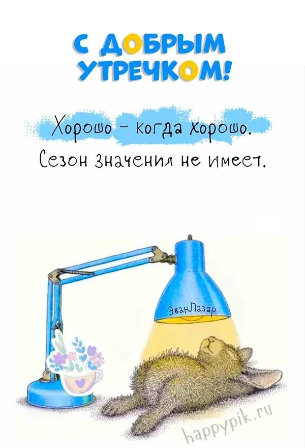 Доброе утро!☀️